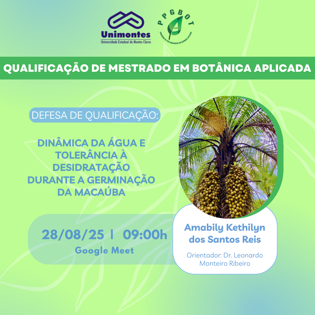 Defesa de Qualificação