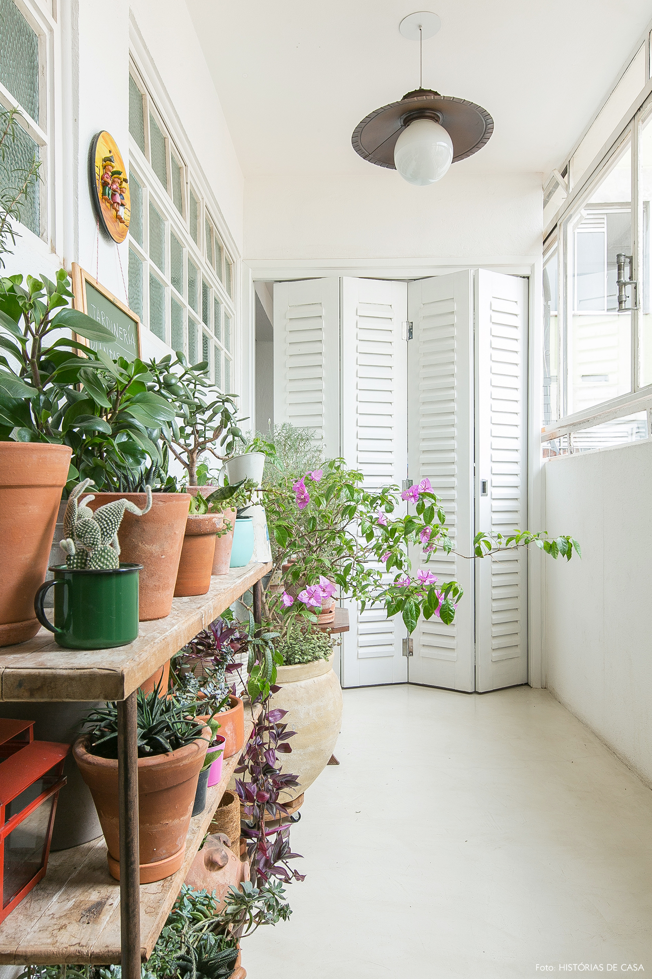 Cultivo de plantas em casas e apartamentos