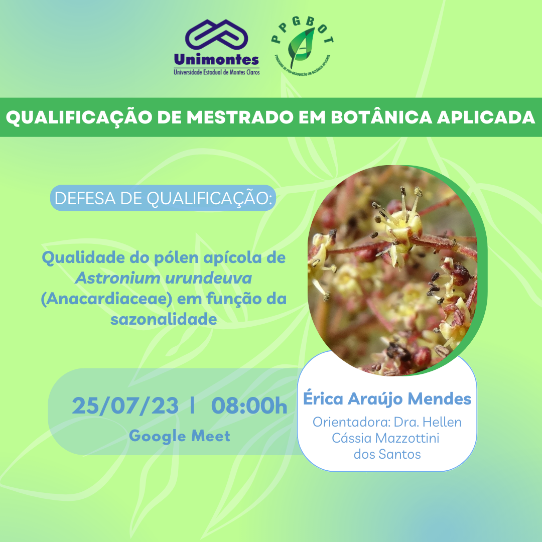 Qualificações de Mestrado