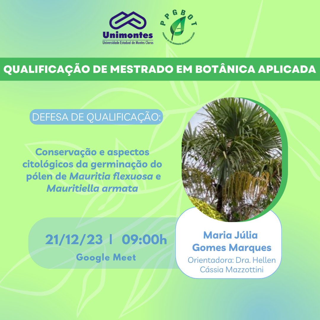 Qualificações de Mestrado