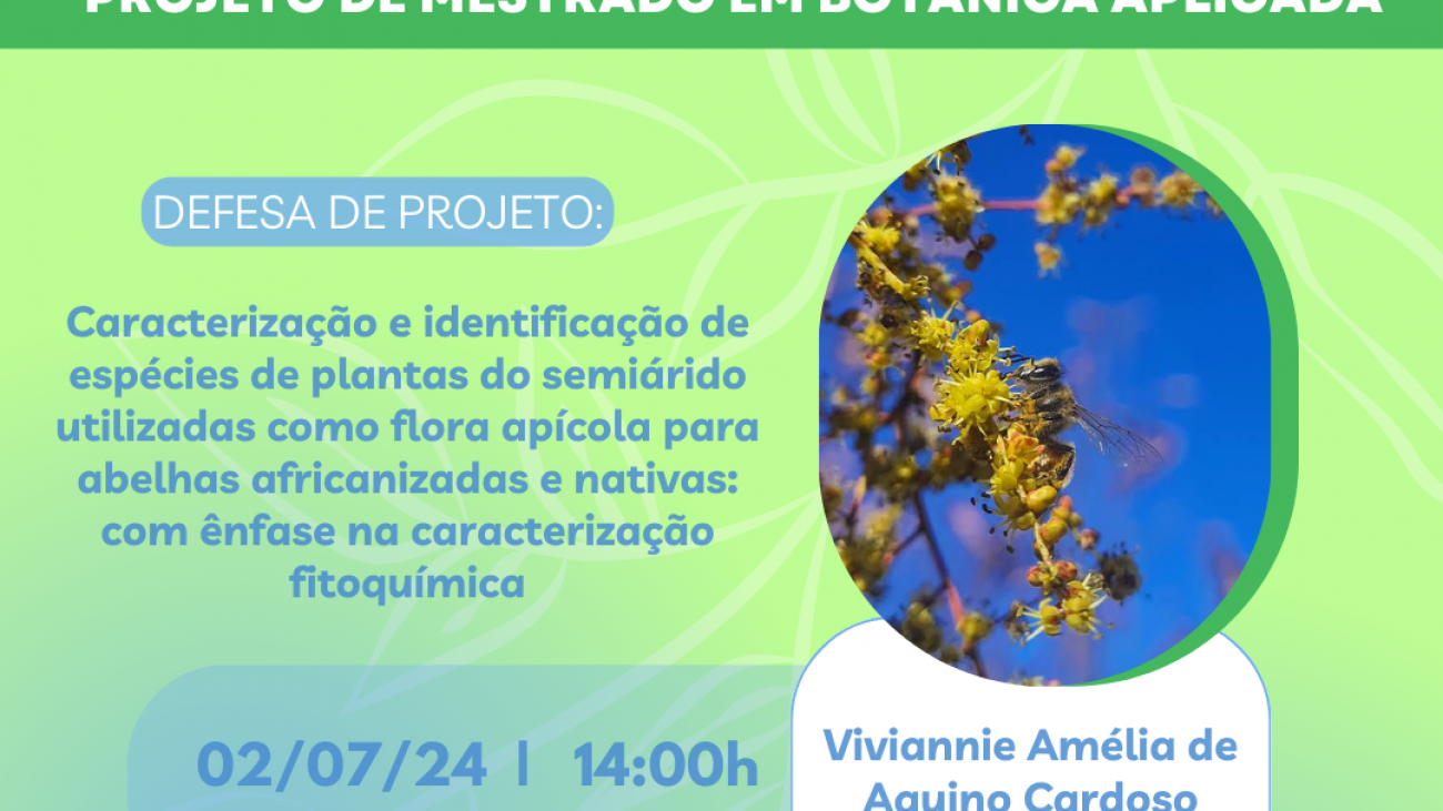 Cartazes Projetos de Mestrado - PPGBot (1)