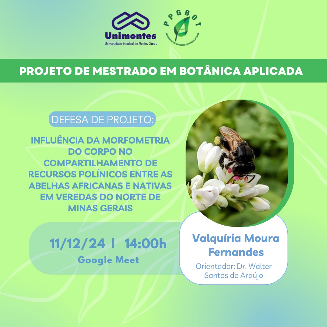 DEFESAS DE PROJETOS DE MESTRADO