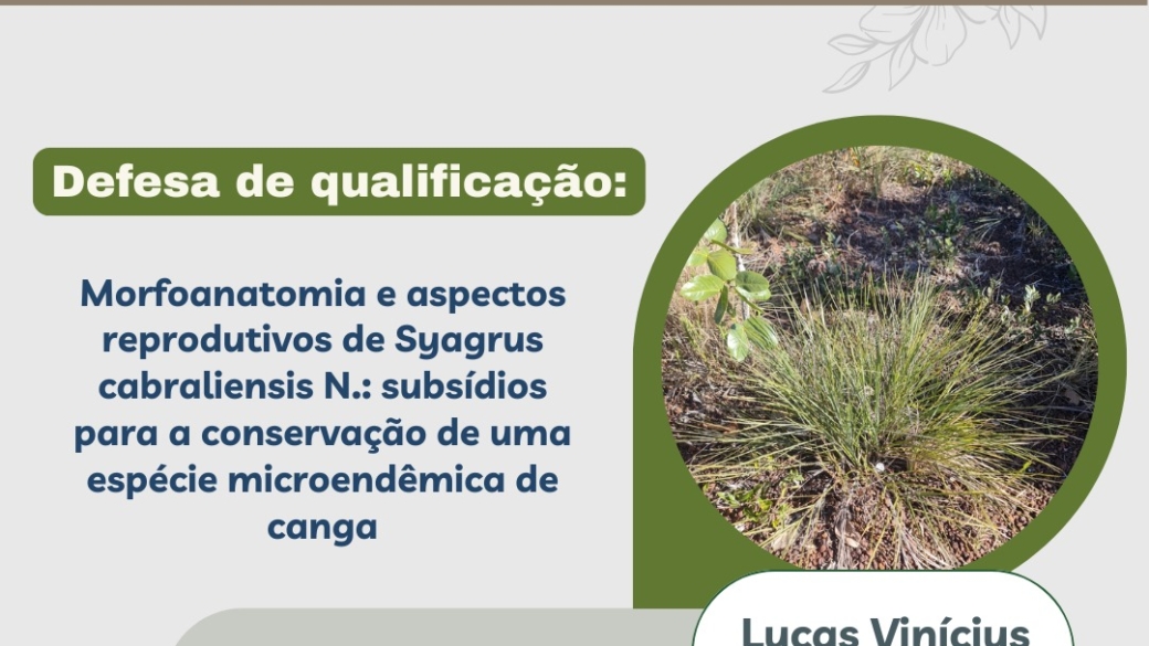 WhatsApp Image 2026-02-04 at 15.33.20